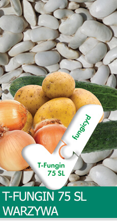 tfungi-warzywa
